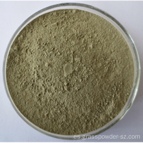 Jugo de trigo sarraceno orgánico en polvo verde